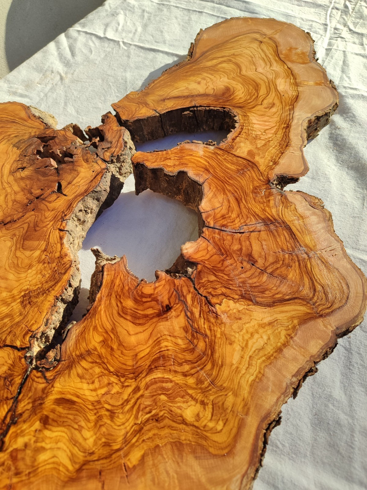 200+ Year Old Olive Wood Slab | Large Live Edge Olive Wood Slice with Voids.