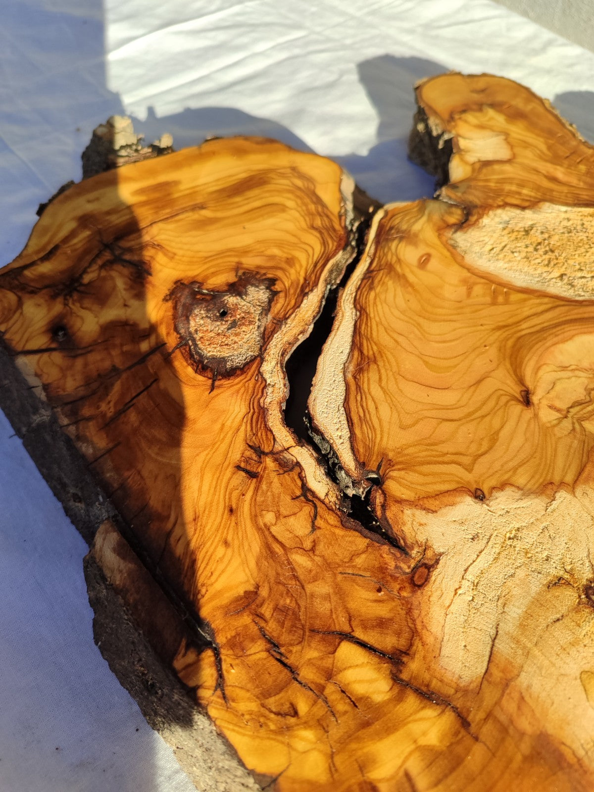 200+ Year Old Live Edge Olive Wood Slice for Epoxy Resin Art.