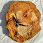 200+ Year Old Olive Wood Slab | Live Edge Olive Wood Slice for Epoxy Resin.