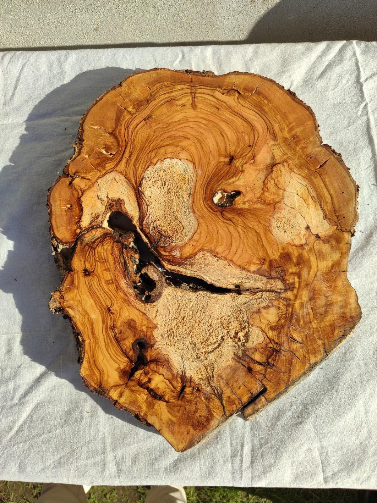 200+ Year Old Olive Wood Slab | Live Edge Olive Wood Slice for Epoxy Resin.