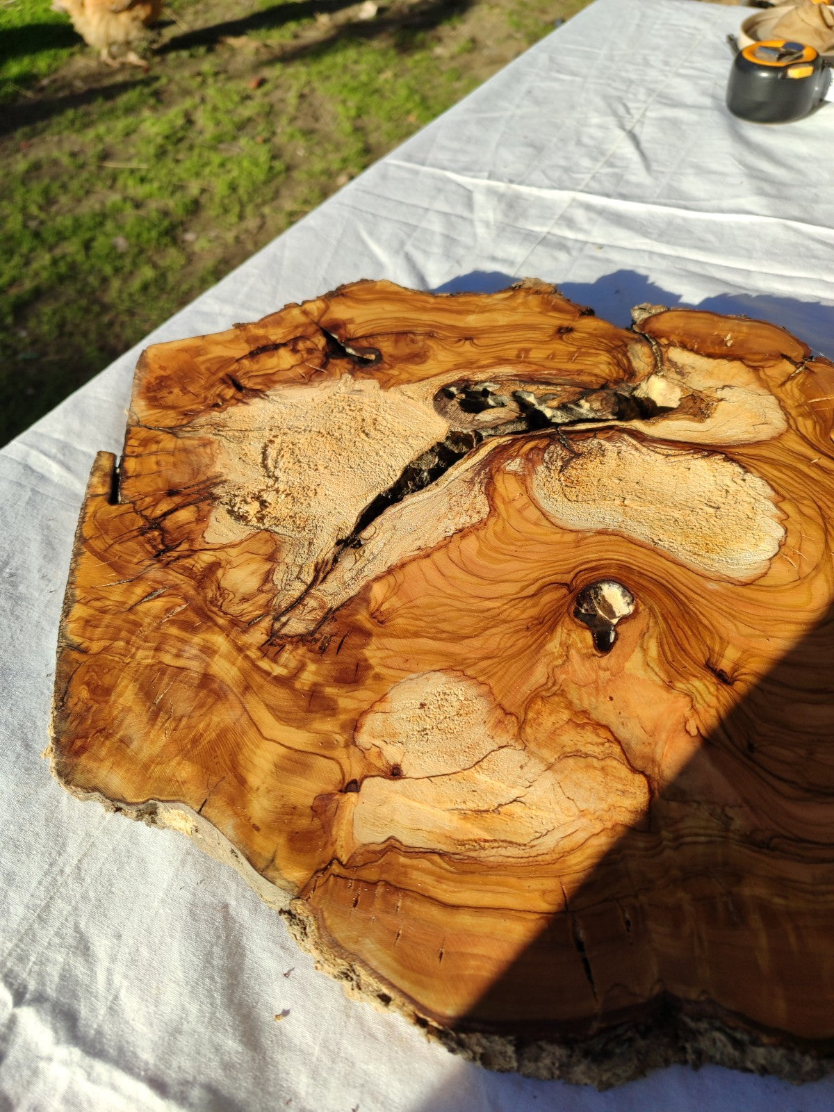 200+ Year Old Olive Wood Slab | Live Edge Olive Wood Slice for Epoxy Resin.