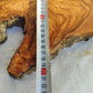 Long Olive Wood Slab | Live Edge Wood Slice for Sculptural Wall Art & Decor.