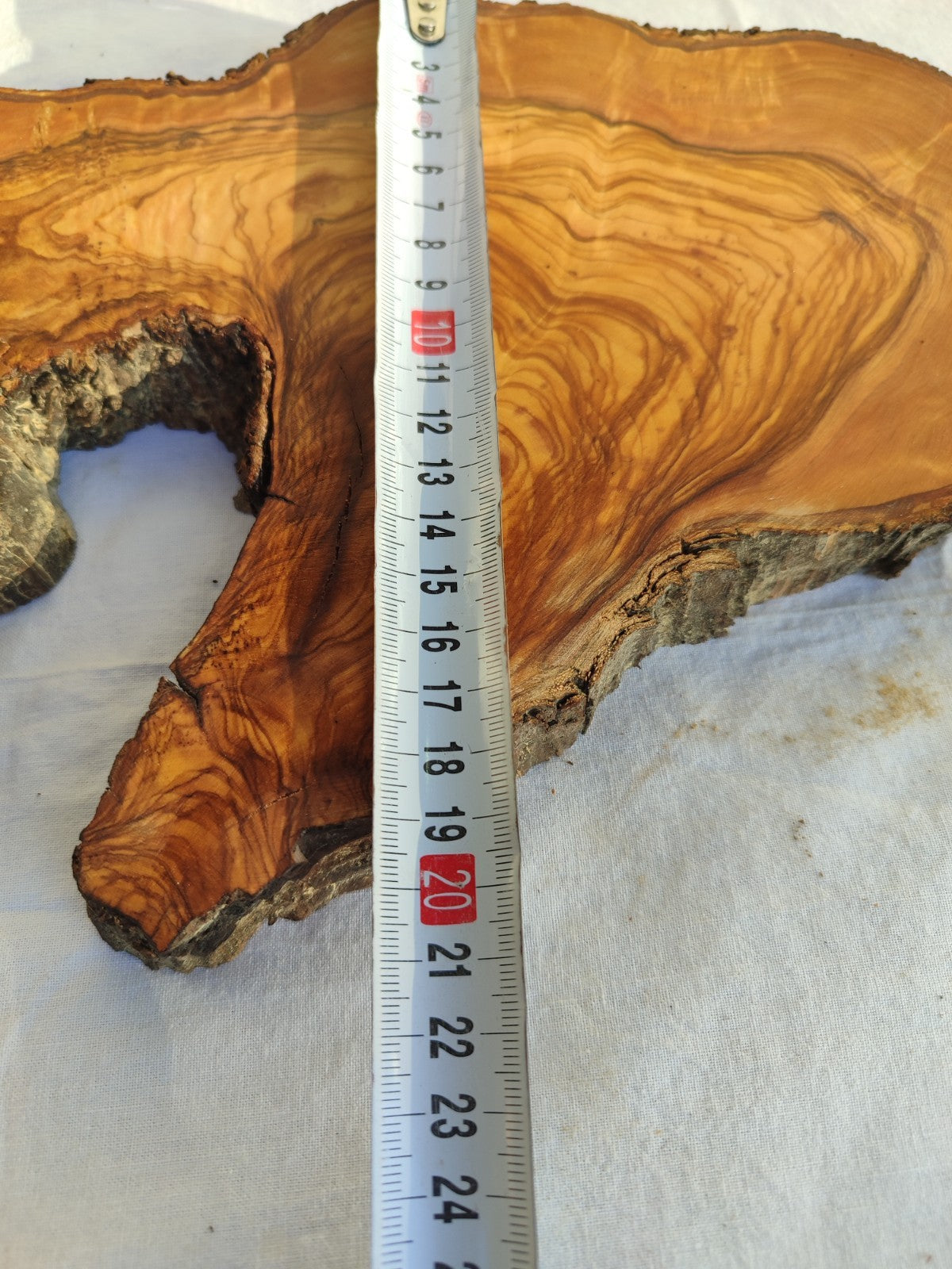 Long Olive Wood Slab | Live Edge Wood Slice for Sculptural Wall Art & Decor.