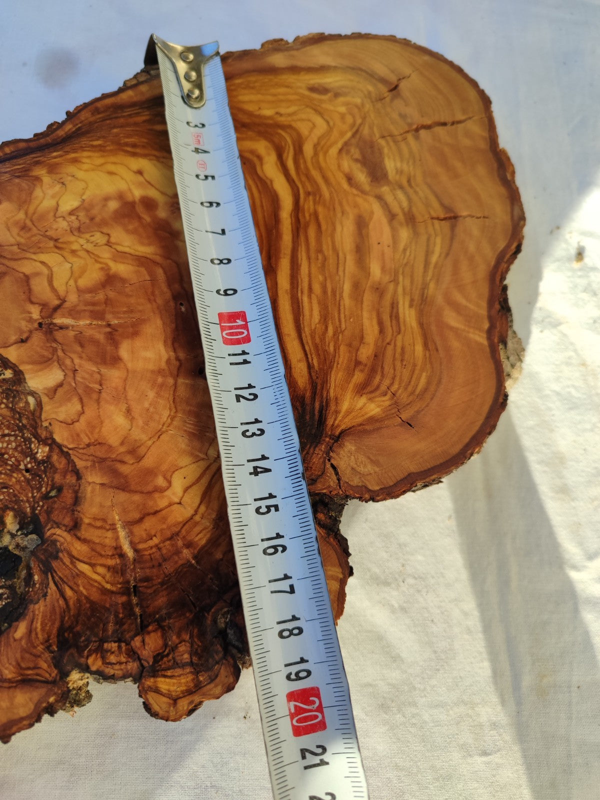 Large Olive Wood Slab 200+ Years | Live Edge Wood Slice 50x34cm for Epoxy.