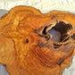 200+ Year Old Olive Wood Slab | Thick Live Edge Olive Wood Slice.