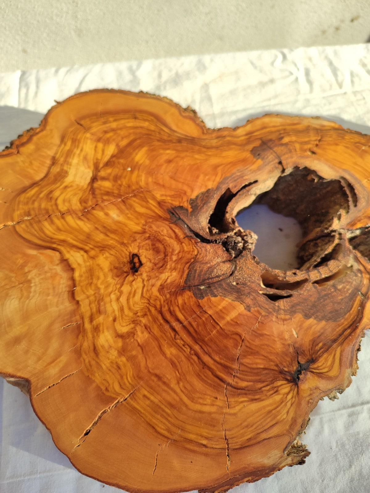 200+ Year Old Olive Wood Slab | Thick Live Edge Olive Wood Slice.