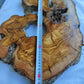200+ Year Live Edge Olive Wood with Natural Voids for Epoxy Table.