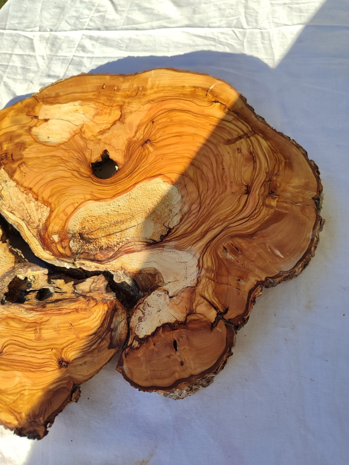200+ Year Old Olive Wood Slab | Live Edge Olive Wood Slice for Epoxy.