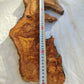 Long Olive Wood Slab | Live Edge Wood Slice for Sculptural Wall Art & Decor.