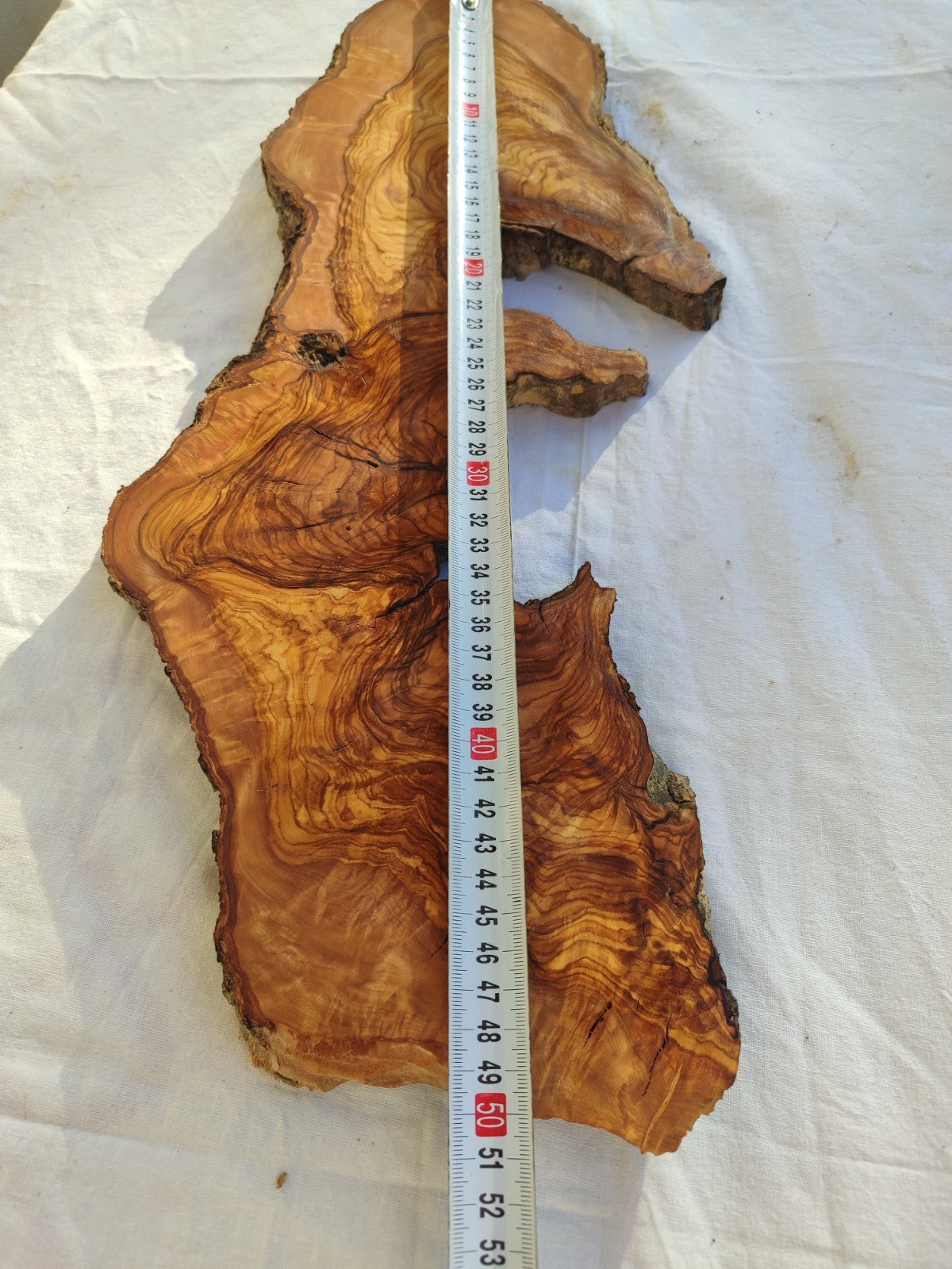Long Olive Wood Slab | Live Edge Wood Slice for Sculptural Wall Art & Decor.