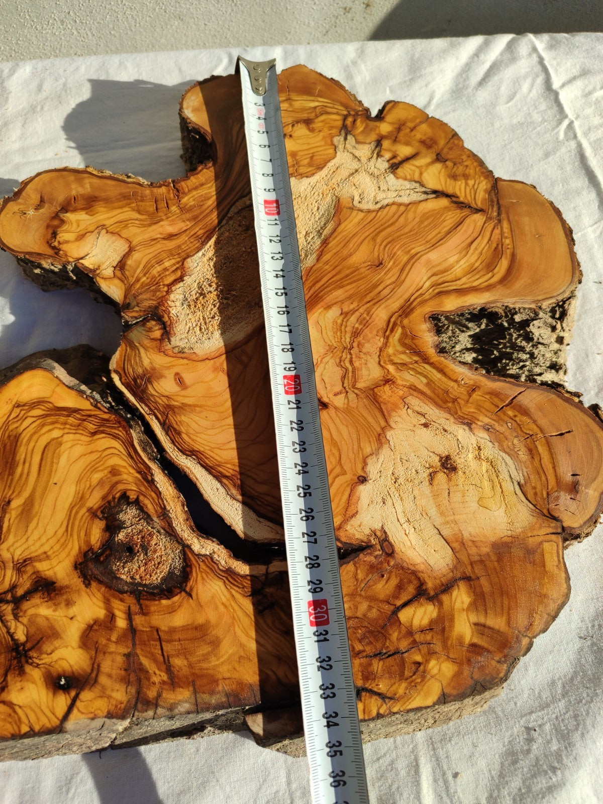200+ Year Old Live Edge Olive Wood Slice for Epoxy Resin Art.