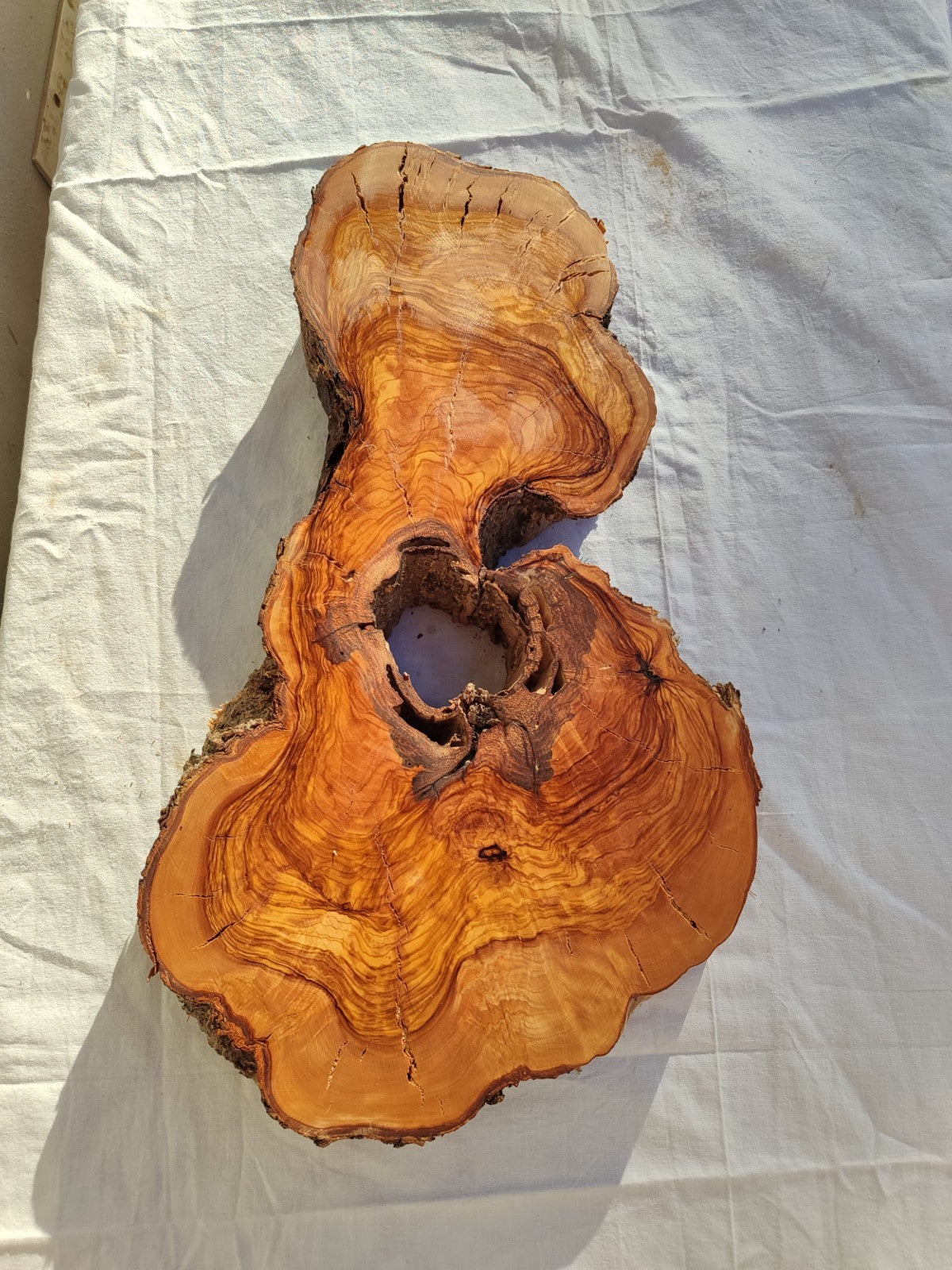 200+ Year Old Olive Wood Slab | Thick Live Edge Olive Wood Slice.