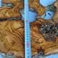 200+ Year Live Edge Olive Wood with Natural Voids for Epoxy Table.