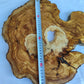 Natural 200+ Year Old Live Edge Wood Slice for Craft & Woodworking.