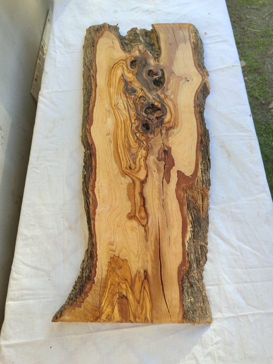 Extra Long Olive Wood Slab | Live Edge Wood Plank for Epoxy Table & Furniture.