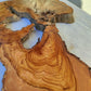200+ Year Old Olive Wood Slab | Large Live Edge Olive Wood Slice with Voids.