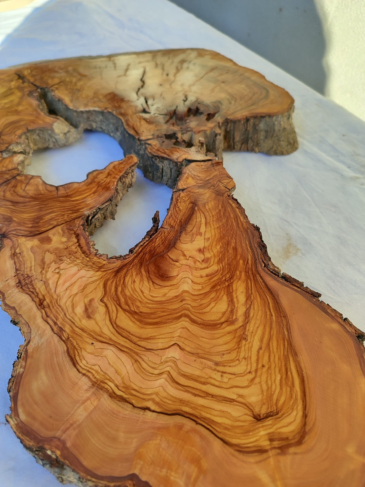 200+ Year Old Olive Wood Slab | Large Live Edge Olive Wood Slice with Voids.