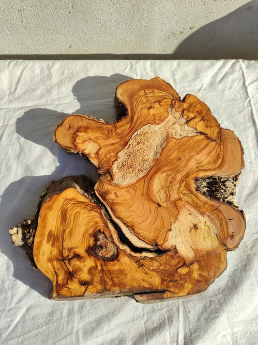 200+ Year Old Live Edge Olive Wood Slice for Epoxy Resin Art.