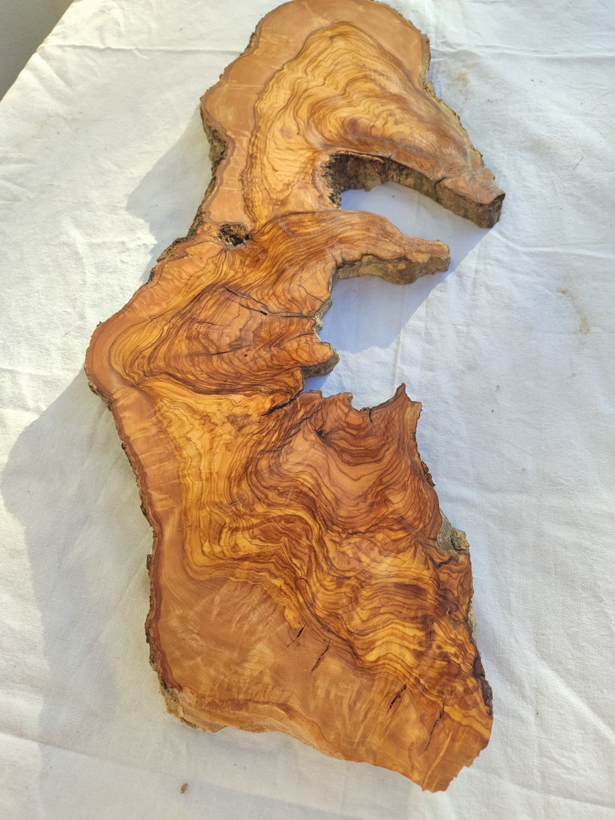 Long Olive Wood Slab | Live Edge Wood Slice for Sculptural Wall Art & Decor.