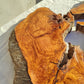 200+ Year Old Olive Wood Slab | Large Live Edge Olive Wood Slice with Voids.