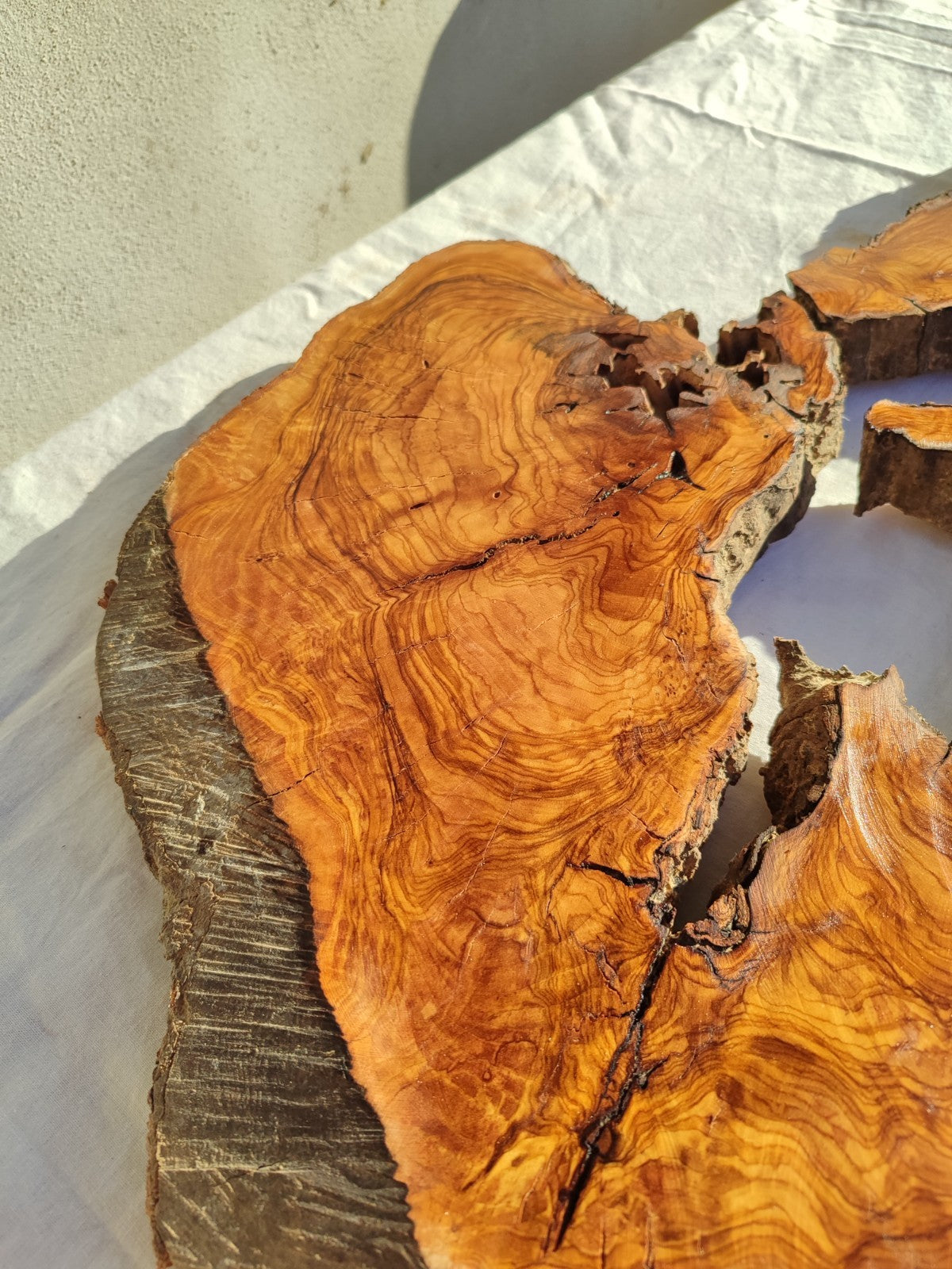 200+ Year Old Olive Wood Slab | Large Live Edge Olive Wood Slice with Voids.