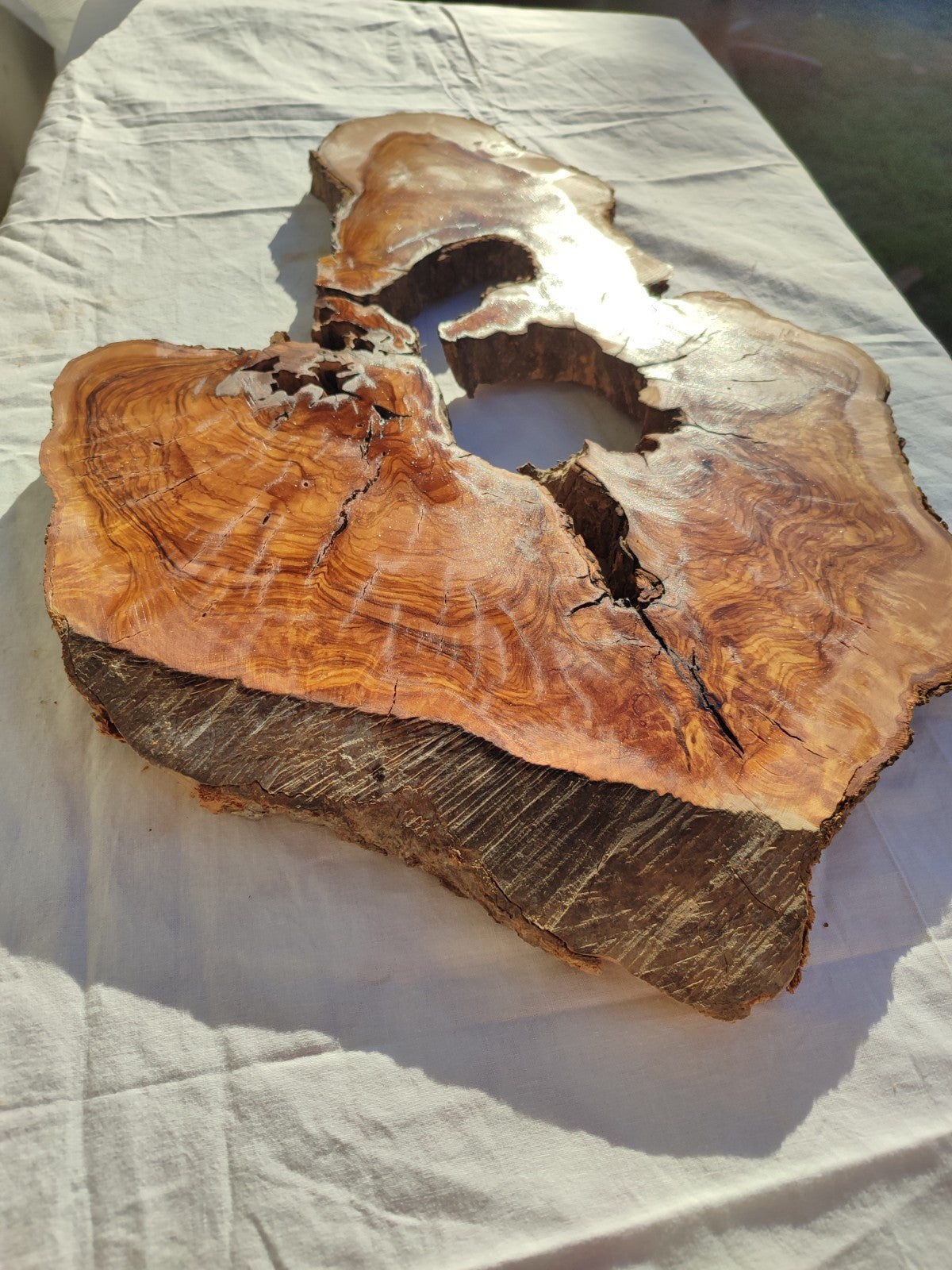200+ Year Old Olive Wood Slab | Large Live Edge Olive Wood Slice with Voids.