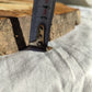 200+ Year Old Olive Wood Slab | Live Edge Olive Wood Slice for Epoxy Resin.