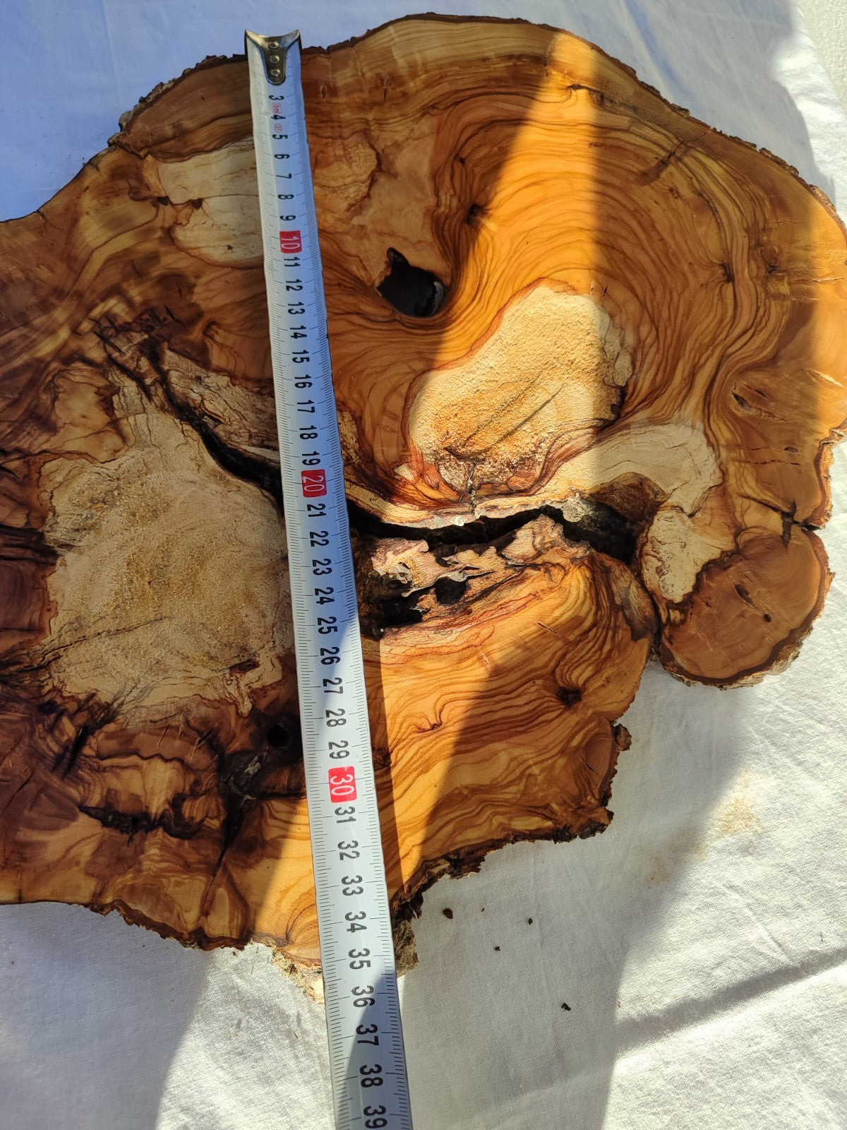 200+ Year Old Olive Wood Slab | Live Edge Olive Wood Slice for Epoxy.