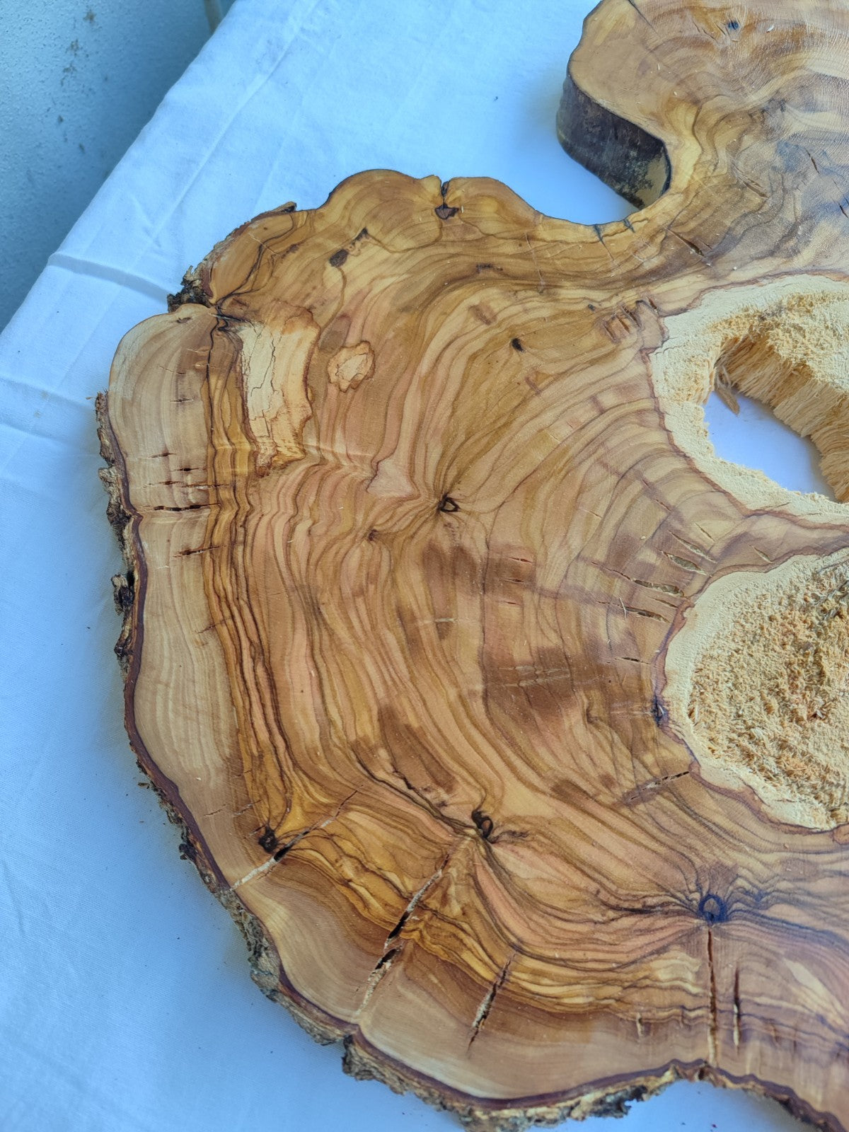 Natural 200+ Year Old Live Edge Wood Slice for Craft & Woodworking.