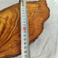 200+ Year Old Olive Wood Slab | Long Live Edge Olive Wood Slice.