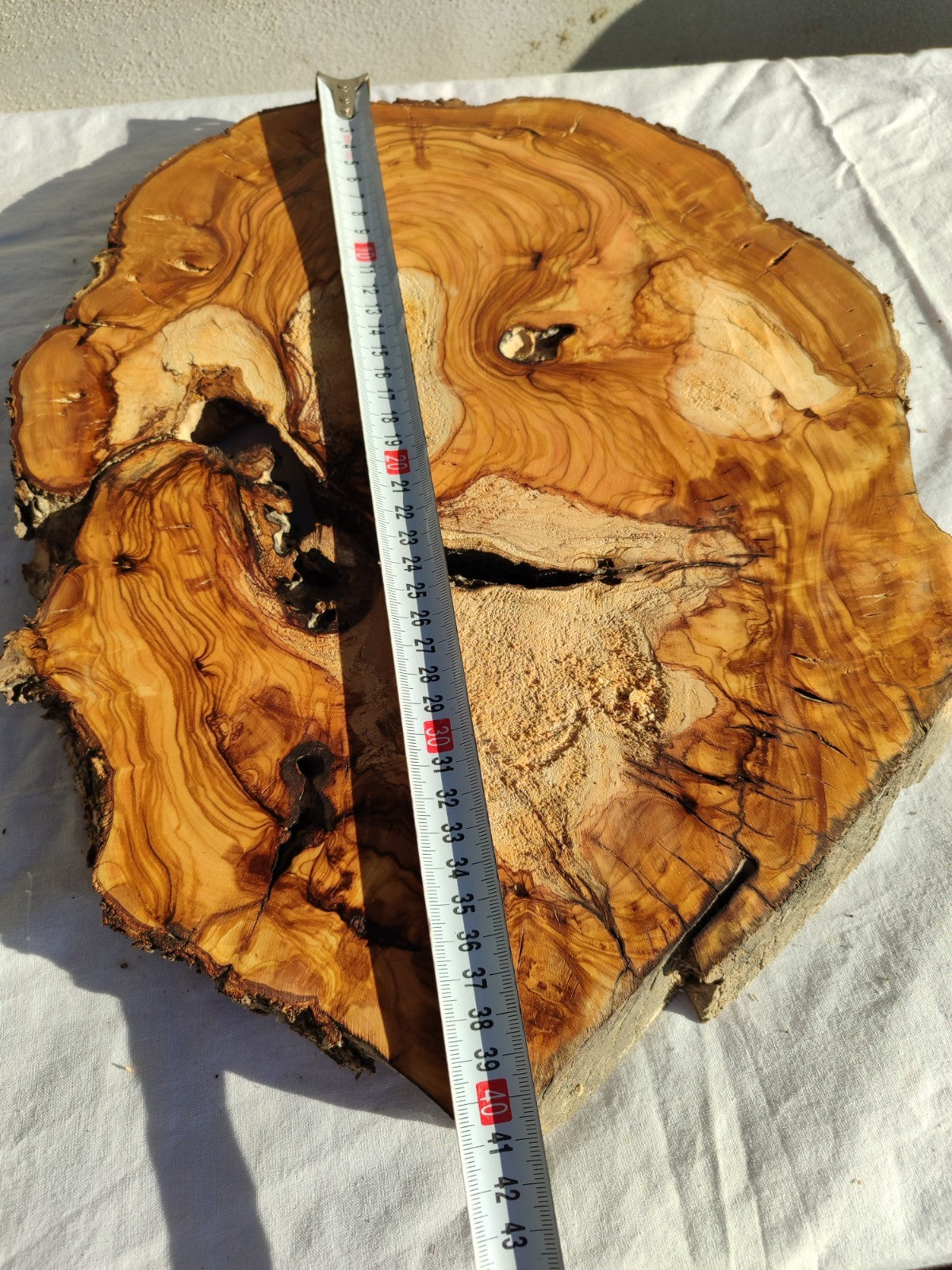 200+ Year Old Olive Wood Slab | Live Edge Olive Wood Slice for Epoxy Resin.