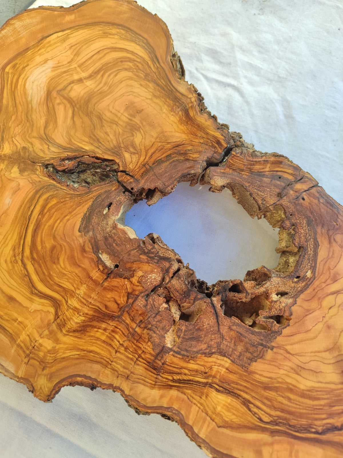 200+ Year Old Olive Wood Slab | Long Live Edge Olive Wood Slice.