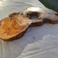 Large Olive Wood Slab 200+ Years | Live Edge Wood Slice 50x34cm for Epoxy.