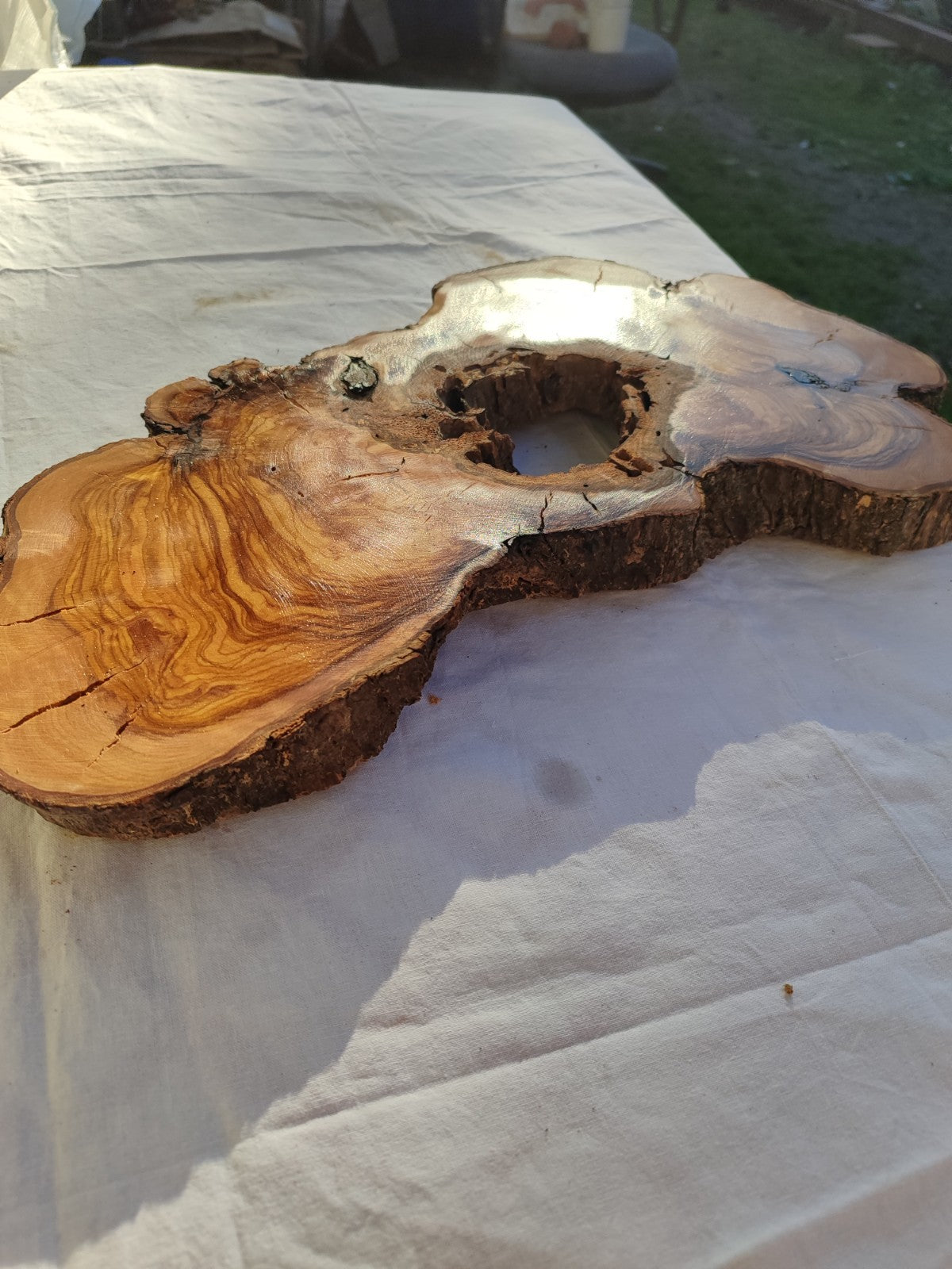 Large Olive Wood Slab 200+ Years | Live Edge Wood Slice 50x34cm for Epoxy.