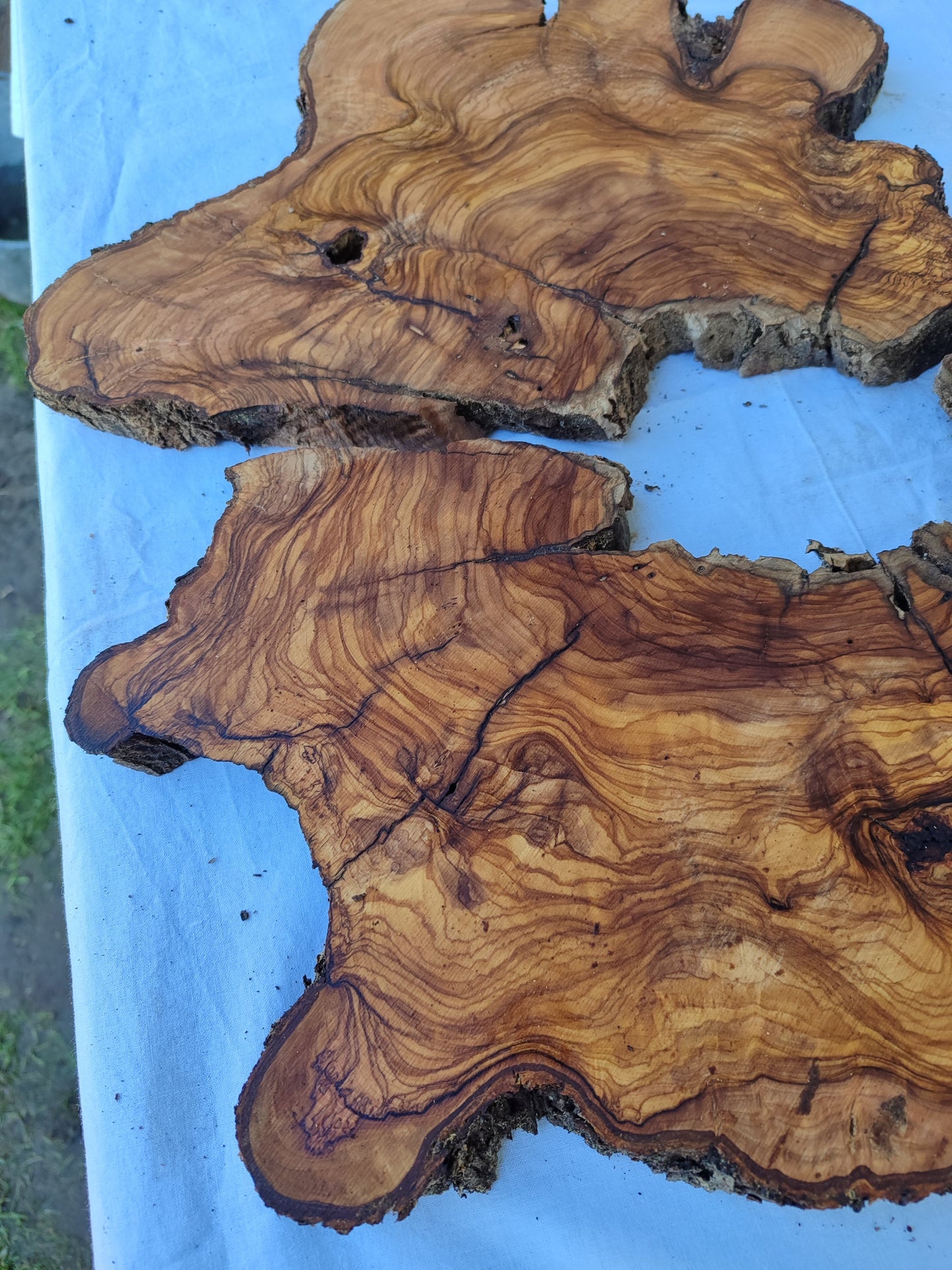 Rare Olive Wood Slab 51x53cm | Premium Live Edge for Epoxy Resin, Clock, Guitar Body | Ultra Dry Sustainable Luxury DIY Lumber.