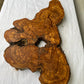 Rare Olive Wood Slab 28x52cm | Dry Live Edge Burl for Resin Art, Clock & Luthier | Unique Grain Sustainable Luxury Woodworking Material.