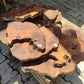 Wholesale Live Edge Olive Wood Slabs - Premium Sustainable Luxury, Unique Grain, 10x28x2.5cm for Epoxy & Crafts