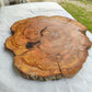 Rare Olive Wood Live Edge Slab – 39x42x2.5 cm – Unique Grain Sustainable Luxury for Epoxy & Crafts - Olive Generic