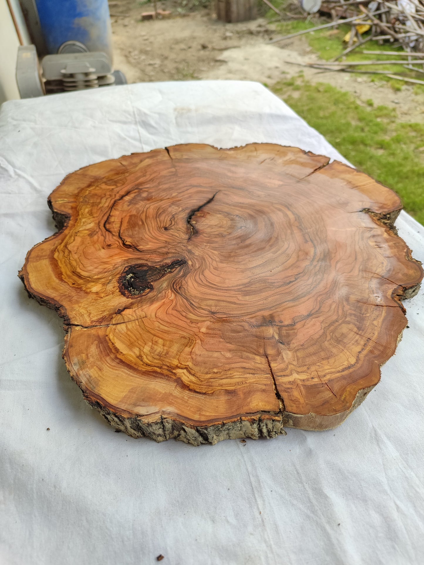 Rare Olive Wood Live Edge Slab – 39x42x2.5 cm – Unique Grain Sustainable Luxury for Epoxy & Crafts - Olive Generic