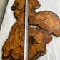 Rare Live Edge Olive Wood Slab 38x61cm - Premium Dry Luthier Lumber for Epoxy Resin Art, Coffee Tables & Unique Guitar Bodies.