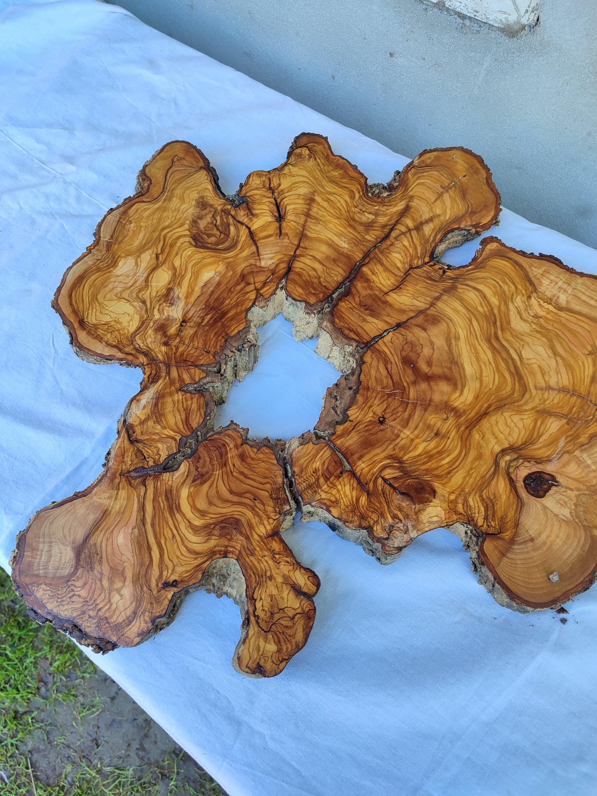 Rare 300yr Old Olive Wood Slab | Huge Live Edge for Epoxy Resin | Super Dry Unique Grain | Luthier Guitar Body & Clock Base | Luxury DIY.