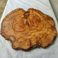 Rare Olive Wood Live Edge Slab – 42x43x2.5 cm Unique Grain Sustainable Luxury Premium Natural Finish Epoxy Friendly