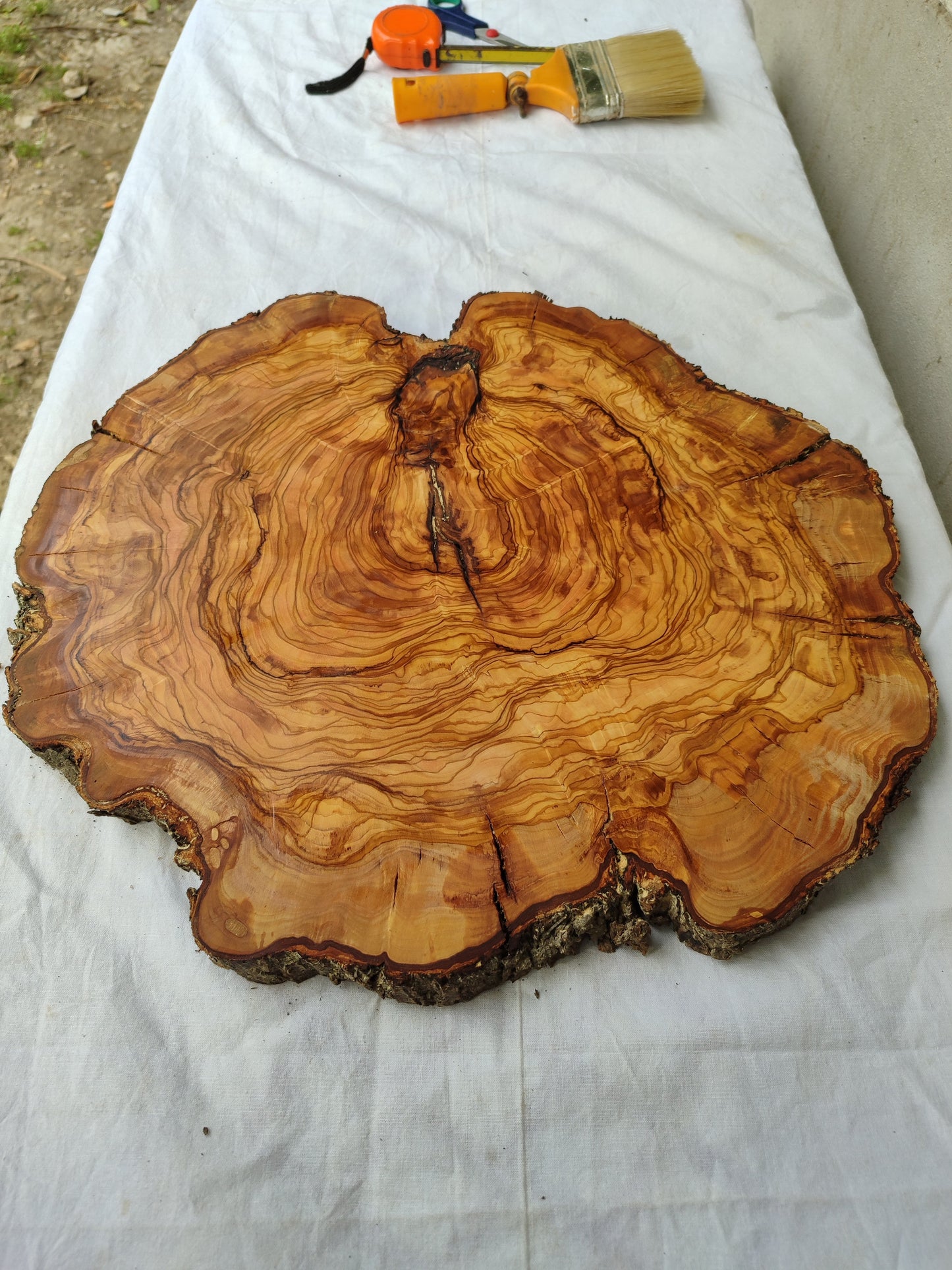 Rare Olive Wood Live Edge Slab – 42x43x2.5 cm Unique Grain Sustainable Luxury Premium Natural Finish Epoxy Friendly