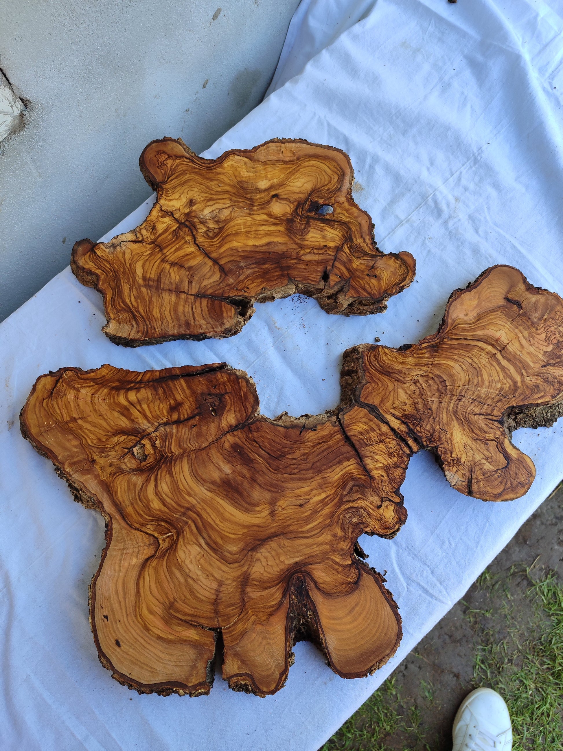Rare Live Edge Olive Wood Slab 2pc Set 50x52cm | Super Dry 3% Moisture for Epoxy Resin & Guitar | Unique Grain Sustainable Luxury Art Wood.