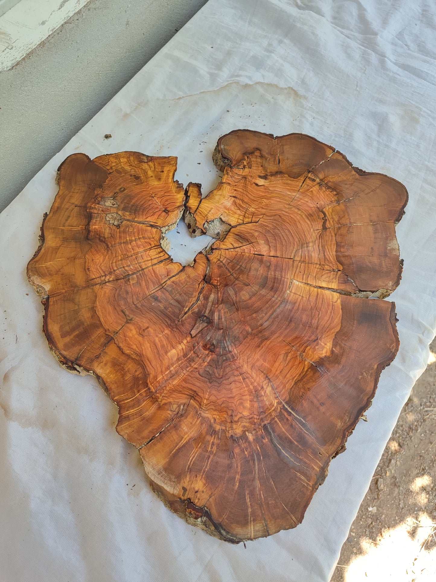 Rare Live Edge Olive Wood Slab – 37x43x2.5 cm, Natural Luster, Unique Grain, Sustainable Luxury for Epoxy & Art