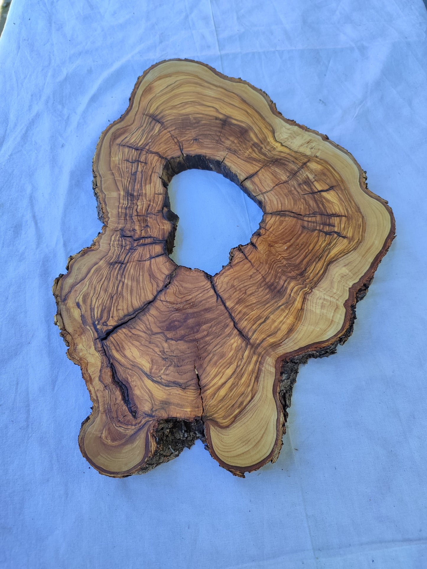 Rare Olive Wood Live Edge Slab 25x39cm - Unique Grain Epoxy Resin Wood for Clock & Guitar Body - Sustainable Luxury &