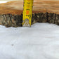Rare Olive Wood Slab – Live Edge Unique Grain Sustainable Luxury for Epoxy Table & Craft - Olive Generic