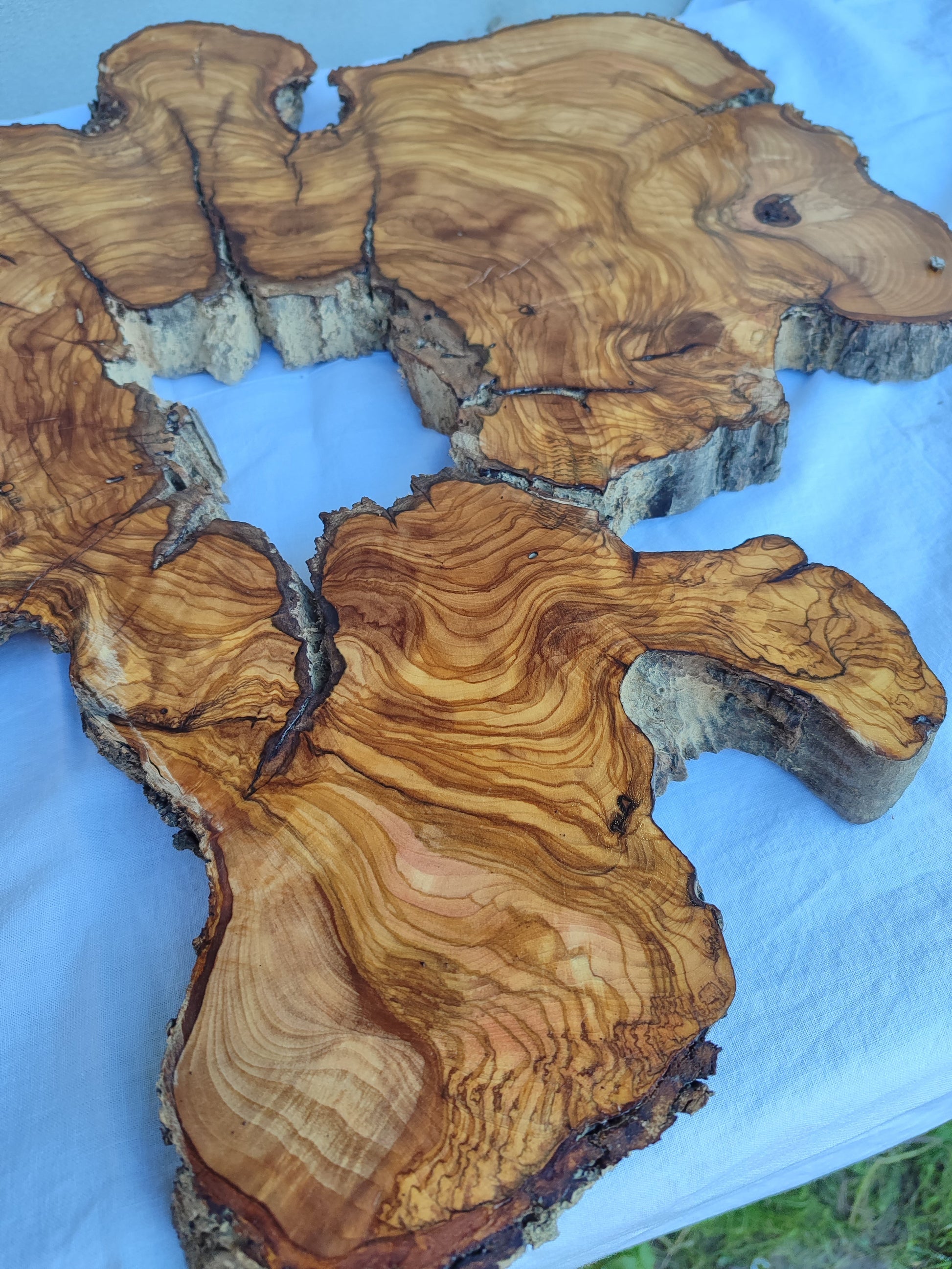 Rare 300yr Old Olive Wood Slab | Huge Live Edge for Epoxy Resin | Super Dry Unique Grain | Luthier Guitar Body & Clock Base | Luxury DIY.