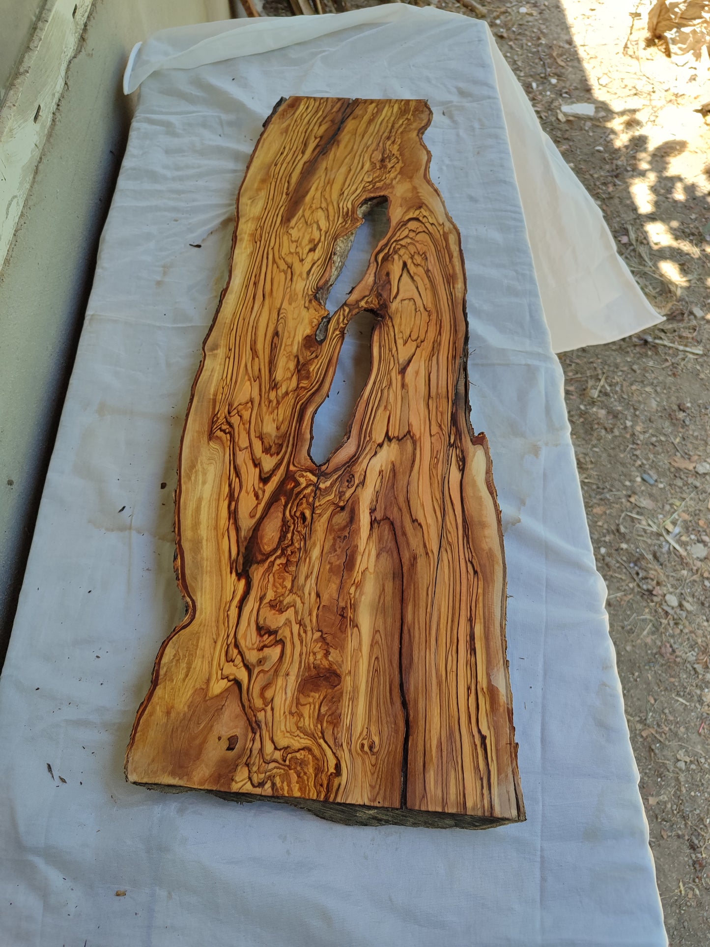 Rare Live Edge Olive Wood Slab – Unique Grain, Sustainable Luxury for Epoxy, Table & Crafts