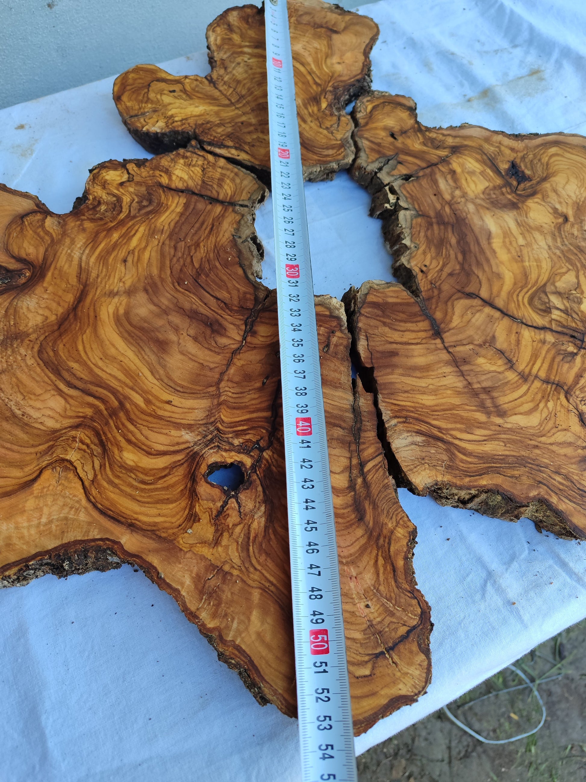 Rare Olive Wood Slab 51x53cm | Premium Live Edge for Epoxy Resin, Clock, Guitar Body | Ultra Dry Sustainable Luxury DIY Lumber.